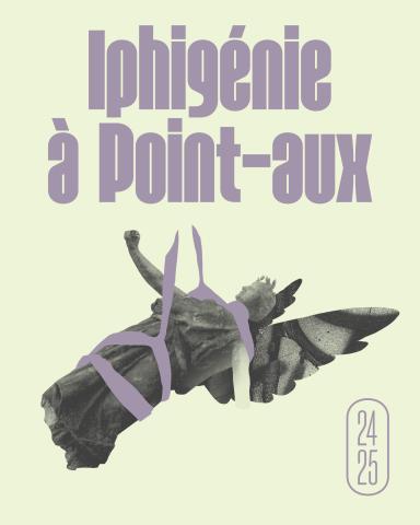 Le visuel du spectacle reprend une statue de pierre avec des ailes entrain de tomber, retenue par des fils. Le titre du spectacle apparait au dessus, dans les mêmes couleurs que les fils.