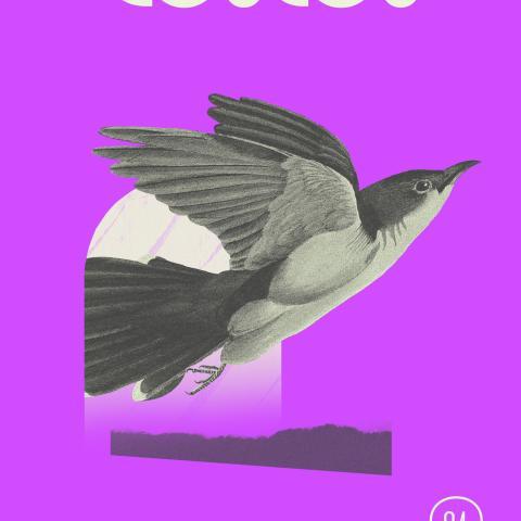 NS24-25_Coucou_Instagram_Story.jpg