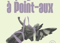 Le visuel du spectacle reprend une statue de pierre avec des ailes entrain de tomber, retenue par des fils. Le titre du spectacle apparait au dessus, dans les mêmes couleurs que les fils. 